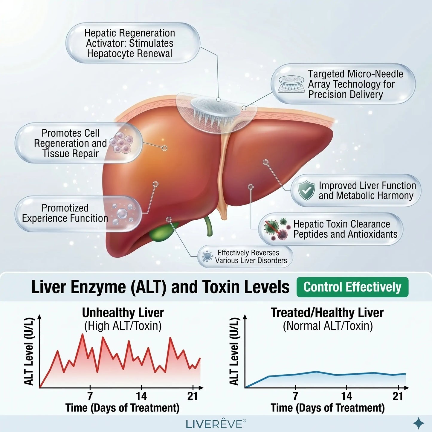 LIVERÊVE® Nano Microneedle Liver Support Patch - Powerful Liver Support - Detox & Repair - Lowers Blood Sugar and Lipids