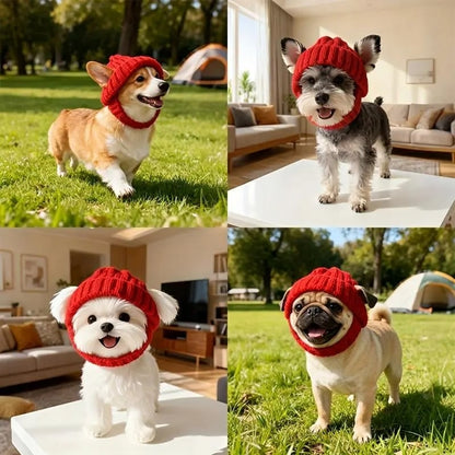 Red Wool Knit Dog Beanie with Ear Flaps – Warm Winter Hat